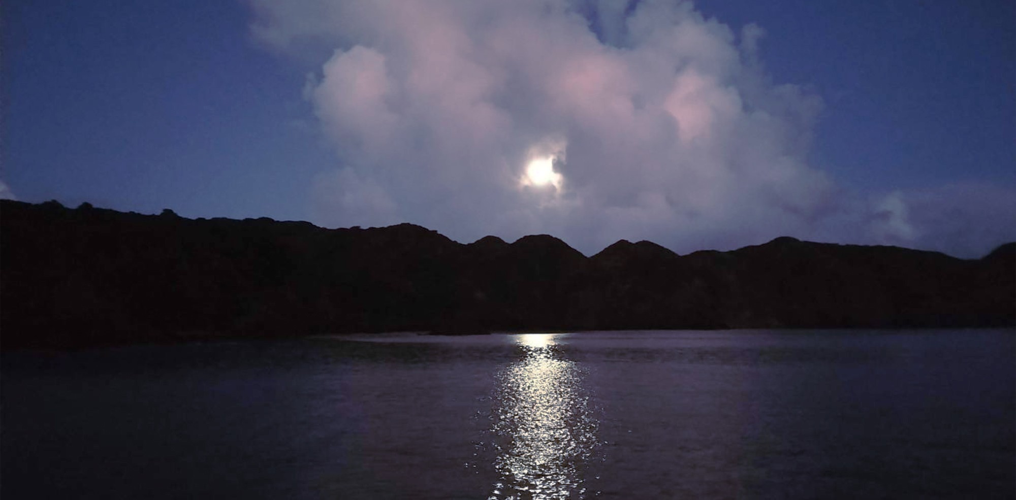 母島の暮らしを支える土木工事 東一興産 小笠原 自然豊かな島で、暮らしに欠かせない仕事を行っています